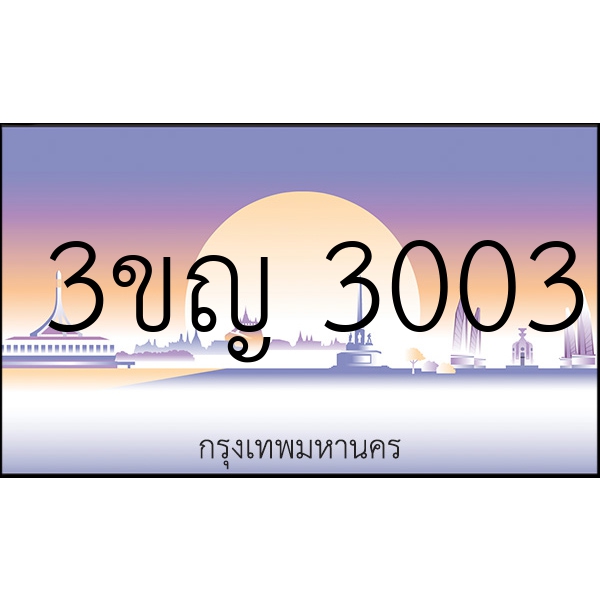 3ขญ 3003
